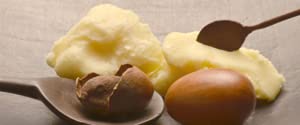 Nilotica Shea Butter 4 oz - Organic Unrefined Creamy Moisturizer for Skin, Face, Hair