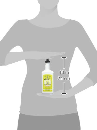 J.R. Watkins Aloe and Green Tea Daily Moisturizing Lotion - 18 oz