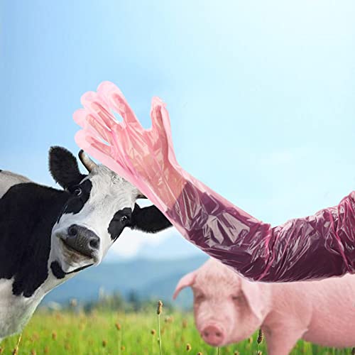 50 Disposable Veterinary Insemination Gloves - Extra Long Sleeve