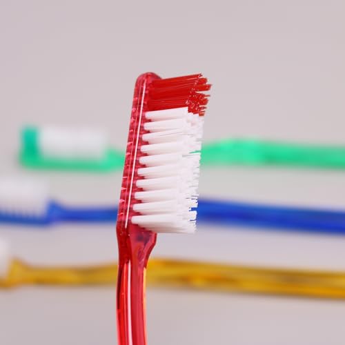Adult Hard Bristle Toothbrush Pack of 12 - Firm Oral Care for Smokers