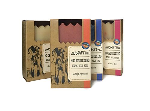 Windrift Hill Citrus Sun Goat Milk Soap - Handcrafted Moisturizing Bar