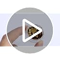 LPOODDNU Fall Gold Nail Art Glitters 6 Jars Autumn Leaves Nail Decorations