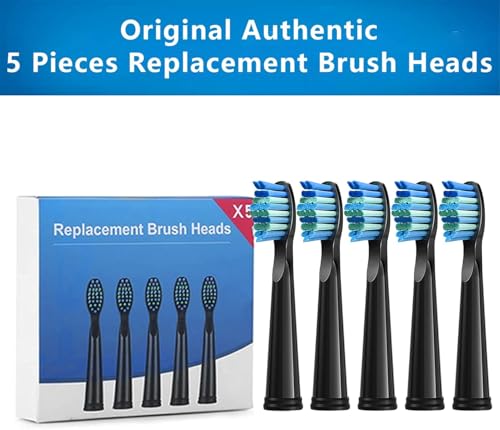 YUNCHI 5 Pack Toothbrush Replacement Heads for Fairywill & Sonic Electric Toothbrushes - Black, Pack of 5
