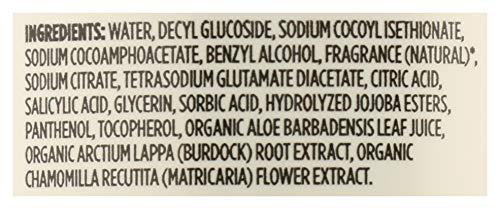 Foaming Hand Soap Satsuma Eucalyptus - 12 Fl Oz (Pack of 2)