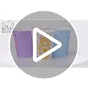 Care Bears Mini Plastic Cup Set - 4 Pack, 1.5oz for Kids