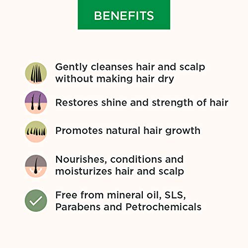 Dhathri Dheedhi Herbal Shampoo - Anti-Dandruff, 200ml