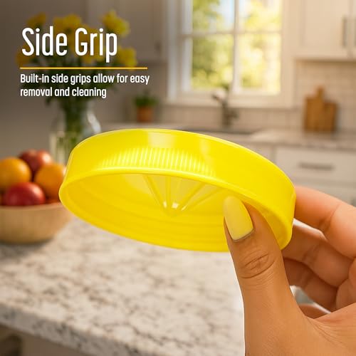 Fruit Fly Catching Lids for Wide Mouth Mason Jars - 4 Pack