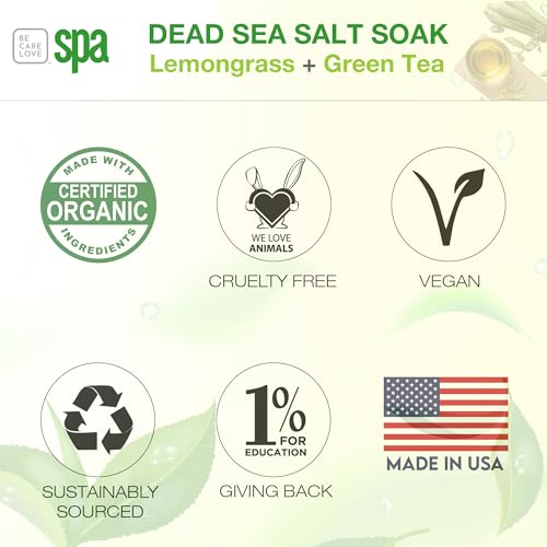 BCL SPA Dead Sea Salt Bath Soak with Organic Lemongrass & Green Tea 16oz