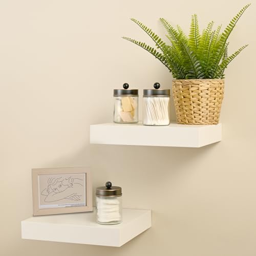 SheeChung 2-Pack Glass Apothecary Jars with Stainless Steel Lids