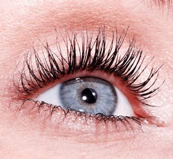 Lash Princess Volume Mascara - Cruelty-Free Black Formula | Pack of 3