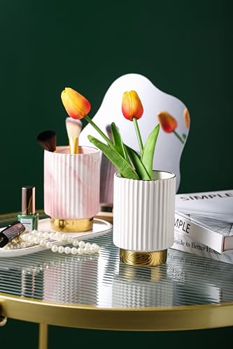 IEEK White Ceramic Makeup Brush Holder Organizer with Gold Accents