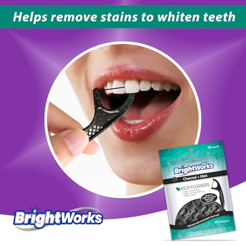 BrightWorks Eco-Friendly Charcoal Mint Floss Picks - 225 Count