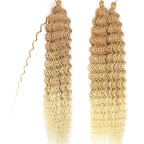 EBORAY Ocean Wave Crochet Braiding Hair - 24 Inch, 2 Packs, Synthetic Curly Extensions for Black Women