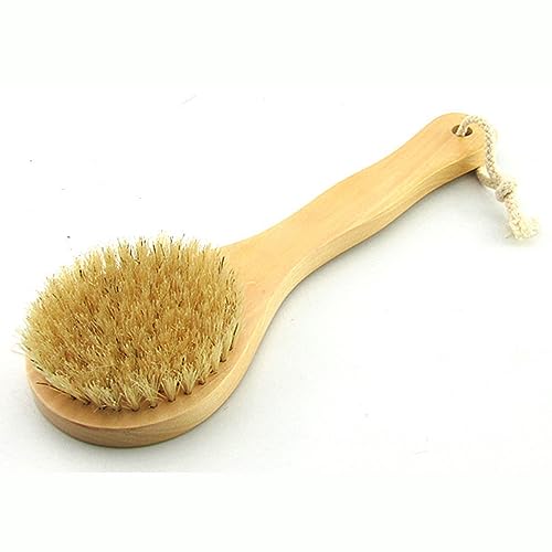 HiKin 9.84 Inch Dry Body Brush with Short Wooden Handle & Natural Bristles
