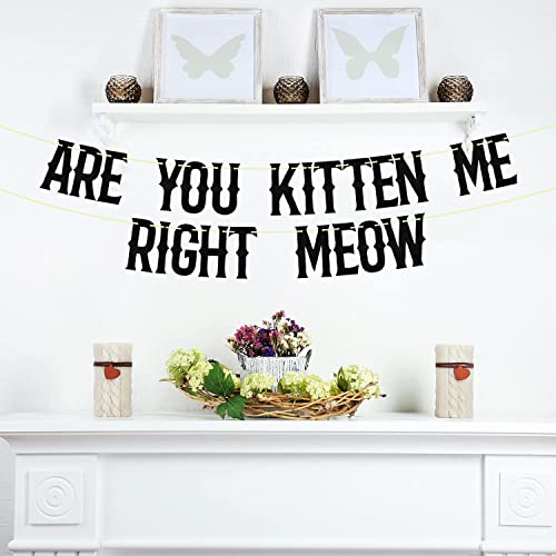 Are You Kitten Me Right Meow Banner - Black Glitter Cat Birthday Decor