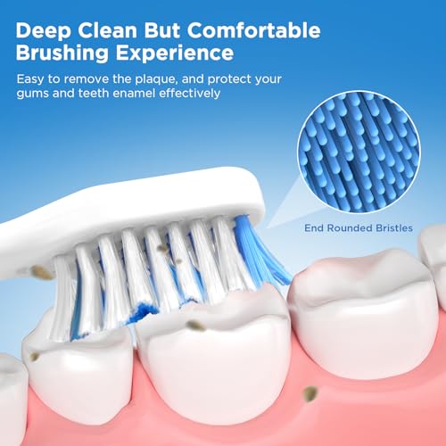 Oralphi 4 Pack Toothbrush Replacement Heads with Cover for Waterpik Sensonic CC-04CD010-1 & STW-03W Series - Includes Case