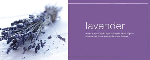 Mangiacotti Lavender Liquid Hand Soap, Plant-Based with Vitamin E, 12 oz