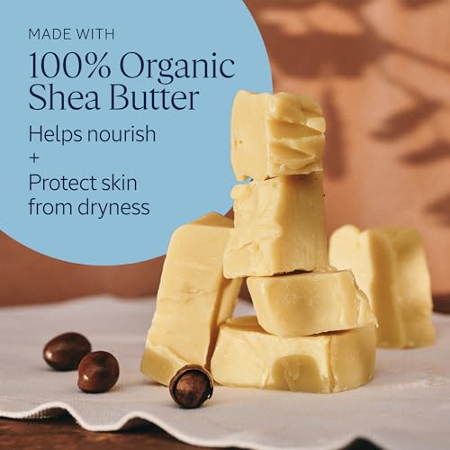 L'OCCITANE 10% Organic Shea Butter Lip Balm Stick - Hydrating & Nourishing