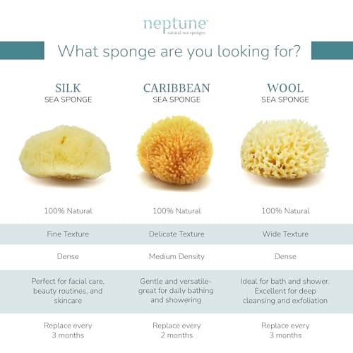 Neptune Natural Caribbean Sea Sponge - Medium Exfoliating Bath Sponge (5-6 in)