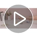 JessLab Clear Makeup Brush Holder Organizer with Lid - 1 Pack