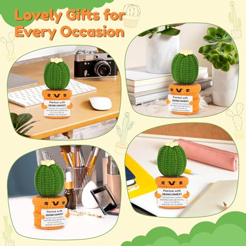 Funny Crochet Cactus Goodbye Gift for Coworker & Friend
