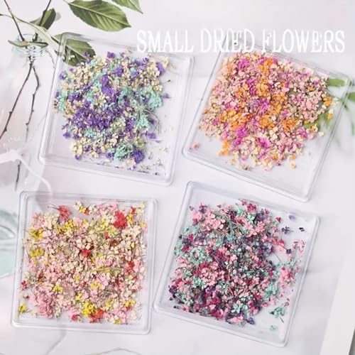 POWPOP Style-04 3D Dried Flower Nail Art Stickers, Colorful Floral Decals for Summer Manicure