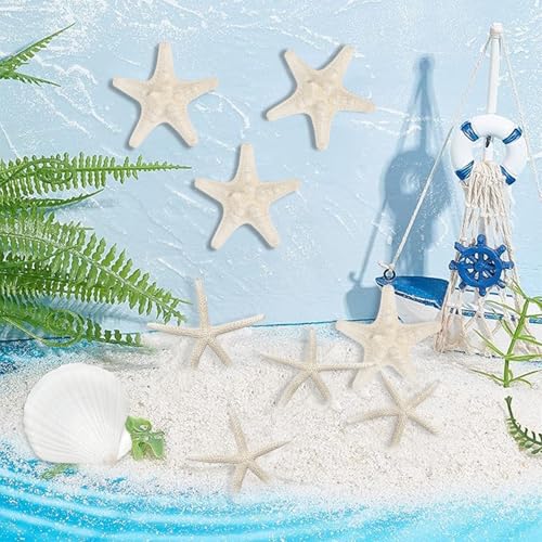 Fangoo 16Pcs Natural Starfish & Scallop Shells for Crafts