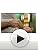 Proraso Beard Oil Hot Treatment - Nourishing Repair for Dry Hair