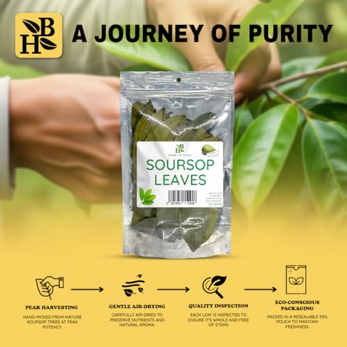 Organic Soursop Leaves for Tea - 50g Dried Graviola Leaves