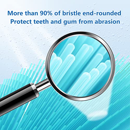 Earouth Replacement Heads for Smile Bright Platinum Sonic Toothbrush, 10 Pack