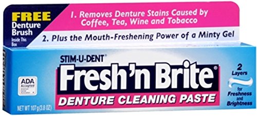 Fresh 'n Brite Denture Cleaning Paste - 3.8 oz Tubes (Pack of 4)