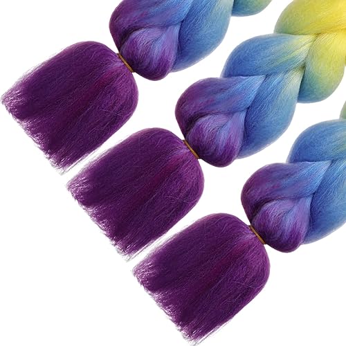 HAIRCUBE 24 Inch Ombre Rainbow Braiding Hair Extensions - 3 Packs