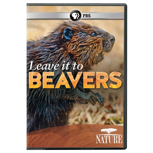 Leave It to Beavers: Nature Documentary on Conservation