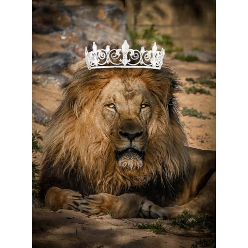 Birthday King Crown and Sash Set for Men - Party Decoration