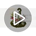 SuperMoss Preserved Moss Placemat - 12" Round Table Decor