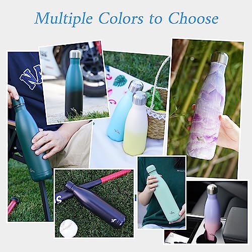 25 oz Insulated Stainless Steel Water Bottle - Indigo Black