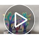 Rainbow Stainless Steel Napkin Holder - Stylish Tabletop Accessory