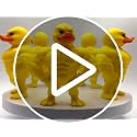 Funny Angry Duck Figurines - 2-Pack Cute Desk Decor