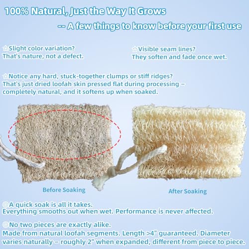 Natural Loofah Exfoliating Body Sponge - 4 Pack for Bath & Shower