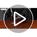 Heavy Duty Kitchen Shears - Japanese Steel Poultry Scissors