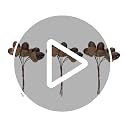 Abaodam 3pcs Realistic Artificial Acorn Picks for Fall Decor