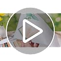Greenery Window Clings - 8 Reading Decals with Plants for Classroom & Library