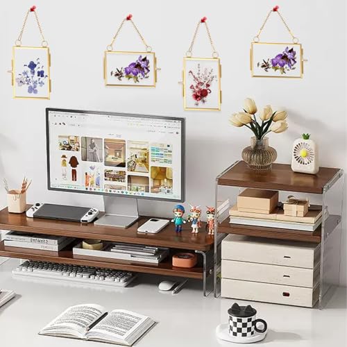 YUXIANLB 4 Pcs Mini Double Glass Frame for Pressed Flowers - 2x3 Inch Gold Wall Hanging Decor