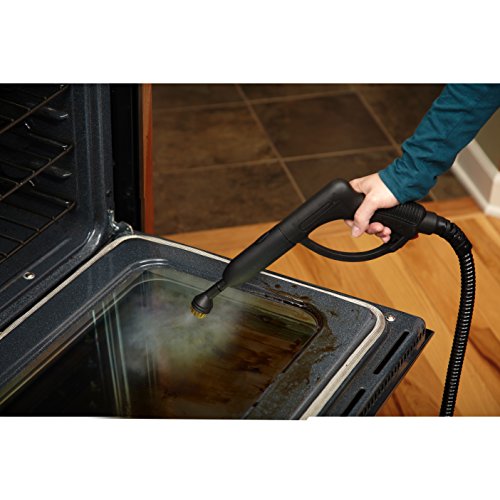 Wagner Small Brass Steam Cleaner Brushes - 5-Pack for Stubborn Dirt