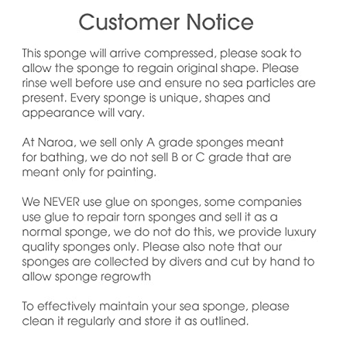 Naroa Medium Natural Sea Sponge | Gentle Bath Loofah for Smooth Skin