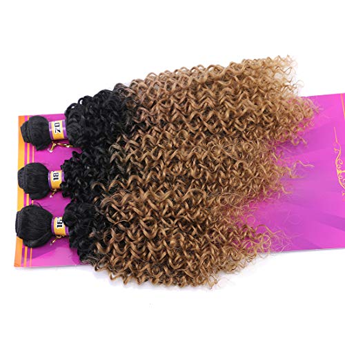 REYNA Golden Ombre Afro Kinky Curly Hair Bundles - 3 Piece Set (16/18/20 Inches)