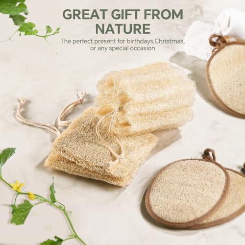 Natural Egyptian Loofah Sponge 3-Pack - Exfoliating Shower Scrubber