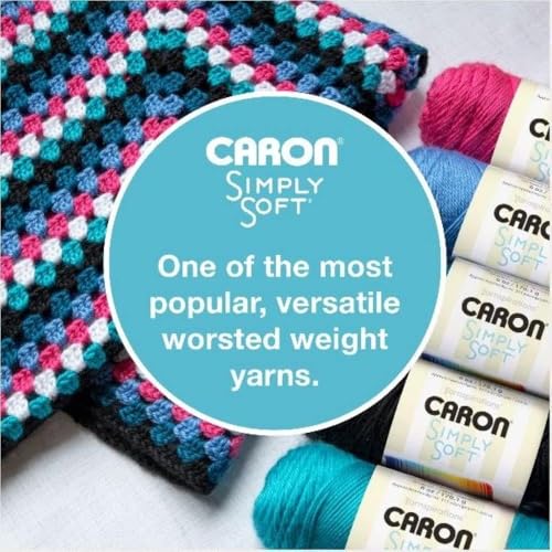 Caron Simply Soft Party Yarn - Metallic Silver, 3 oz for Knitting & Crochet
