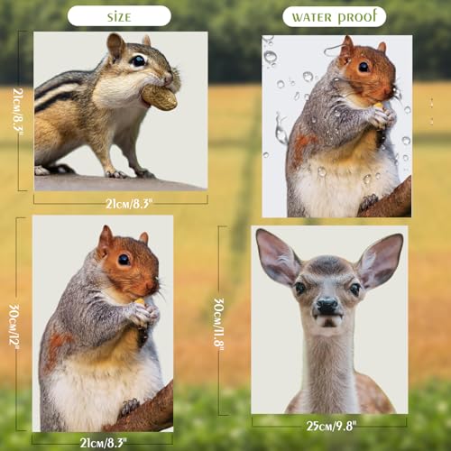 3 PCS Woodland Animal Window Stickers - Squirrels, Deer & Hamsters