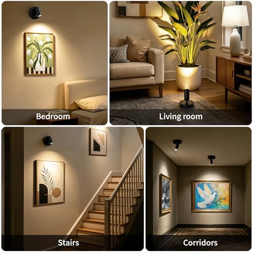 Rechargeable Indoor Spotlight with Remote | Dimmable 3-Color LED Picture Light